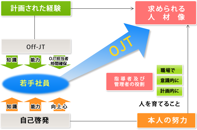指導者の役割(育てる仕組み)